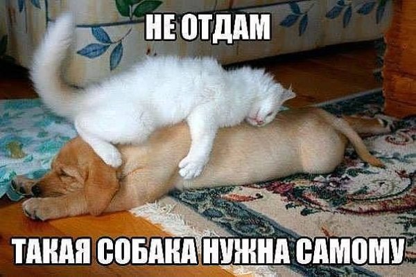 getImage 11
