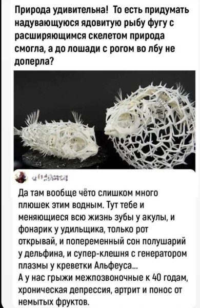 FB IMG 1776098999774