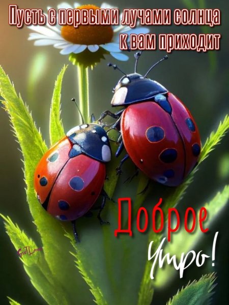 file_93950183