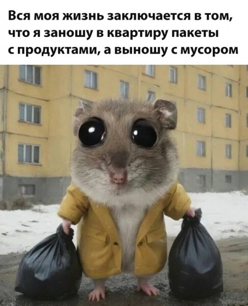 file_101488065