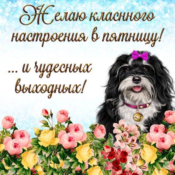 file_90863003