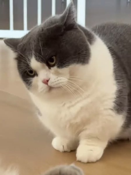 FB IMG 1771329584903