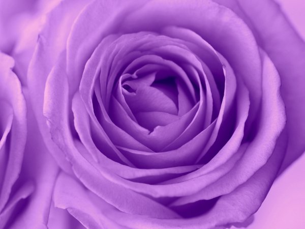 file_76416058