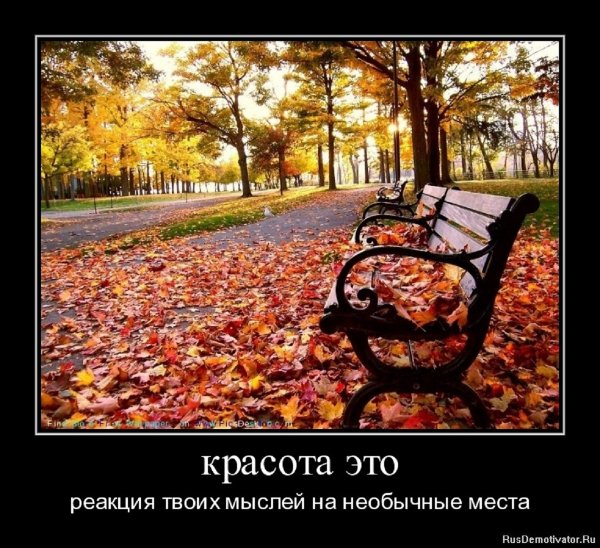КРАСОТА