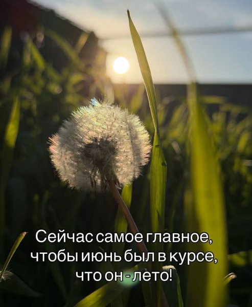 FB IMG 1780949639841