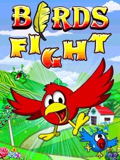 BirdsFight