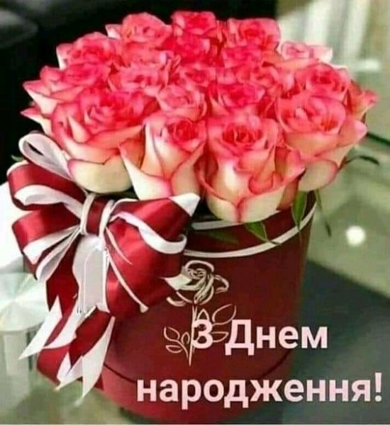 FB IMG 16253435721816958