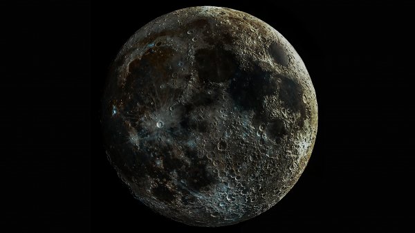 file_81704592