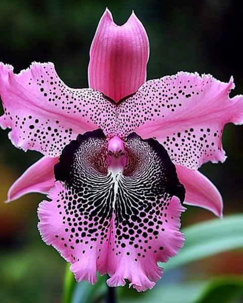 cf5b0a9f063f707d15c2126d76a6