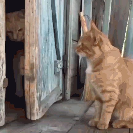 Ты выйдешь?