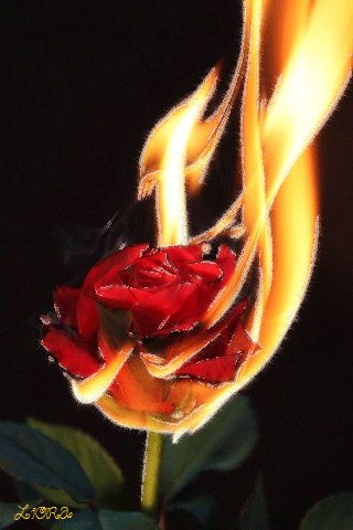 file_73737726