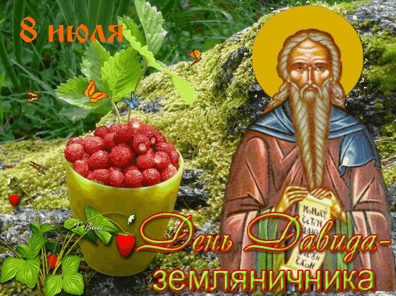 Анимированная открытка 8 июля день давида (1)