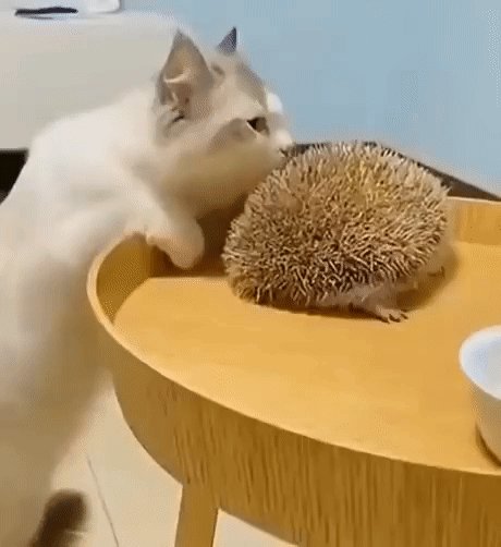 Нашёл чесалку