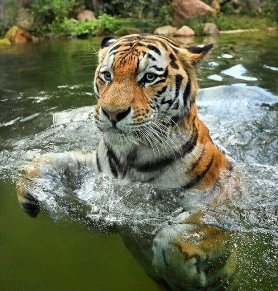CYTNSTkLn4E