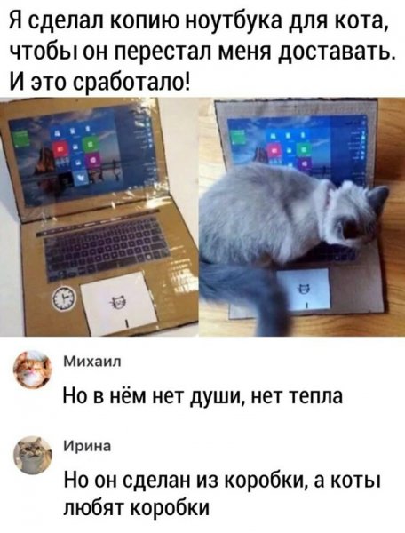 file_101867336