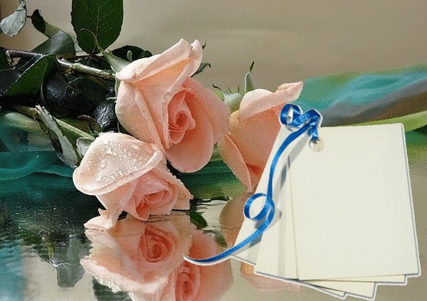 Анимированная открытка поздравляю с (1)