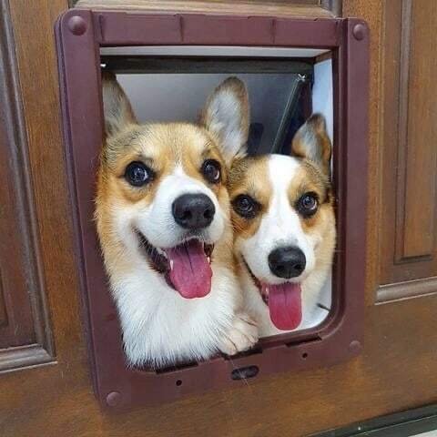 4NBCXZDGHJKUYRELCCH0