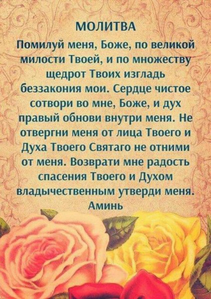 FB IMG 1636476709786