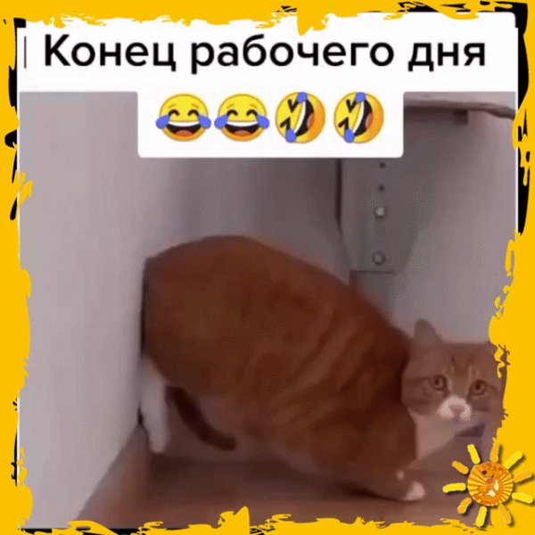 IMG 20221127 174014