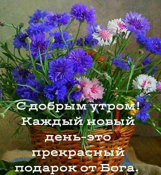 С добрым утром