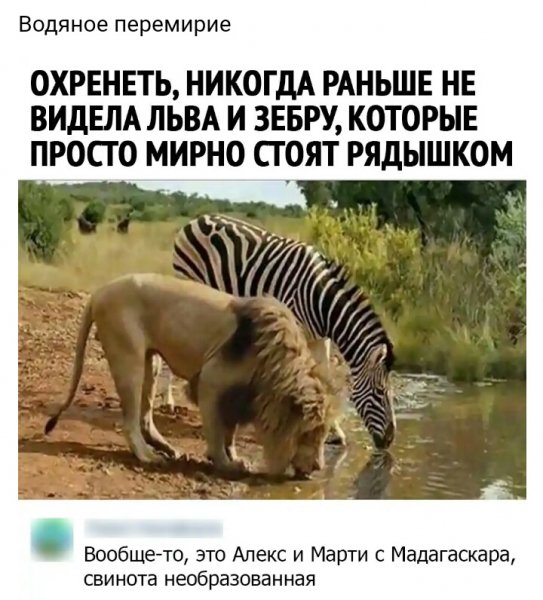 Перемирие))