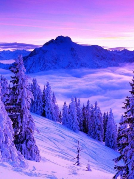 47b78256e3cb02bd8c4cddf8b89b2f84