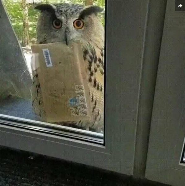 FB IMG 1776334713807