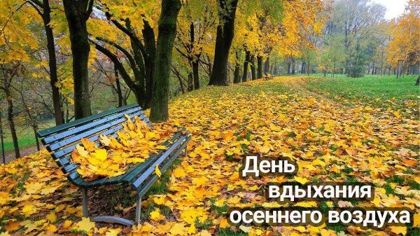 file_94768874