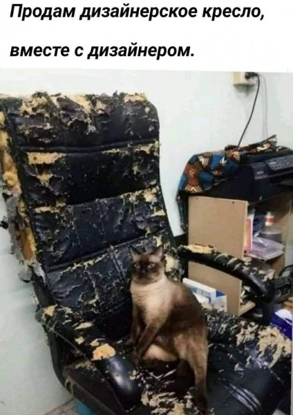 FB IMG 1776447237142