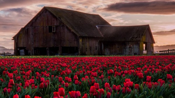 file_66192303