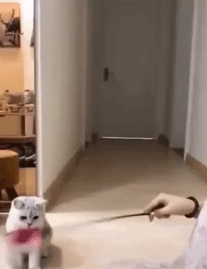 38c7f164b33772ba8bc6b3e7bcee905e6c5e102ee9a28164e76b150be0765