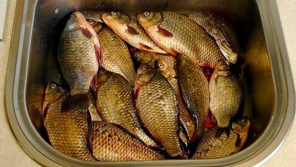 IMG 20231022 080839 641