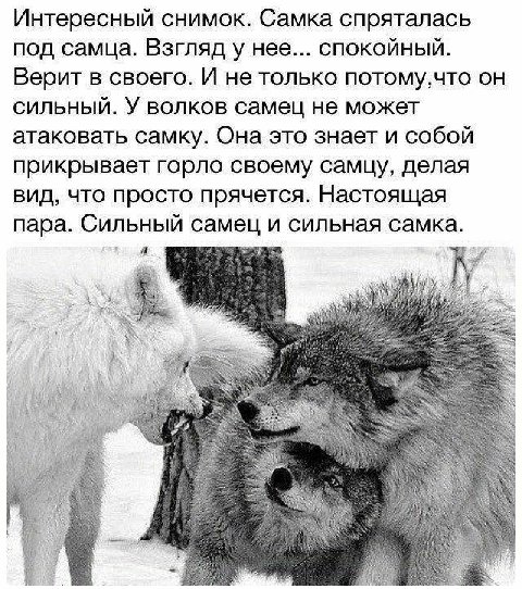 0a8959e2045cff144288dda6f0fc1ad1
