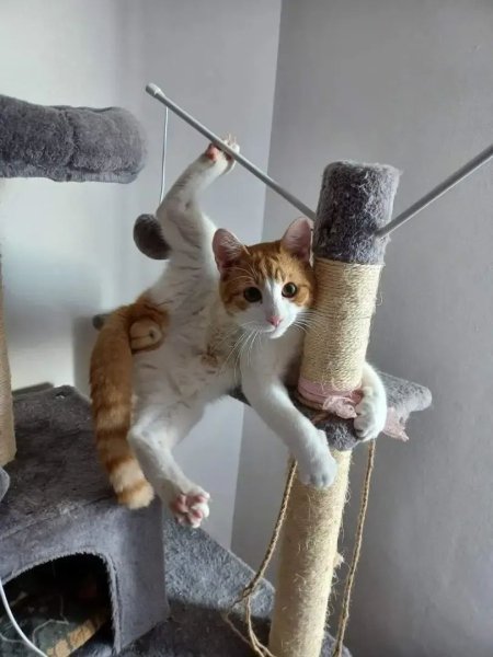 FB IMG 1774463598499