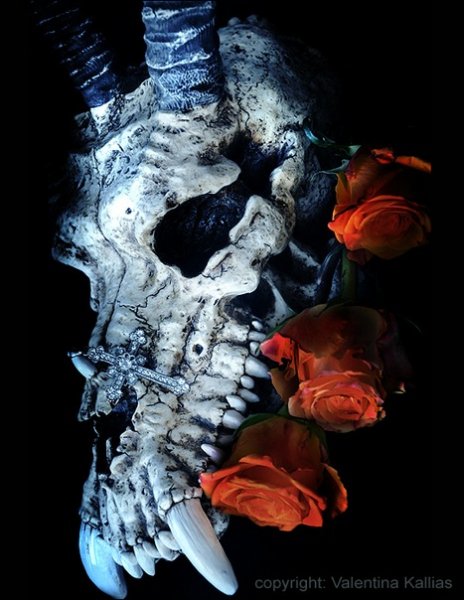 Rose (16)
