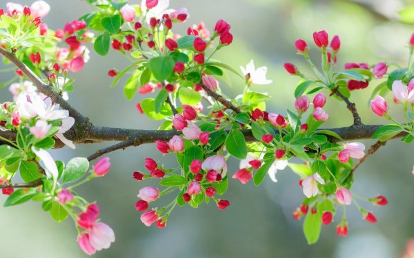 file_81129010