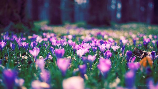 file_80695354
