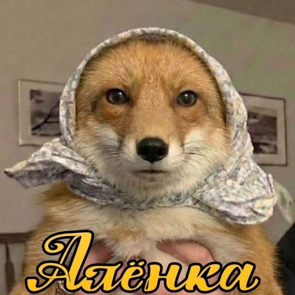 СМЕШНЫЕ КАРТИНКИ (75)