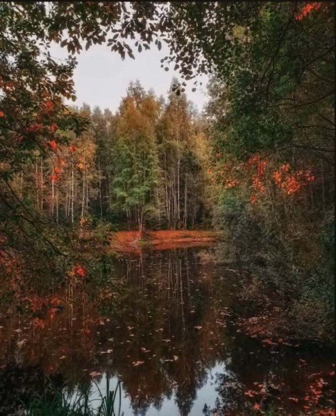 Осенний пейзаж