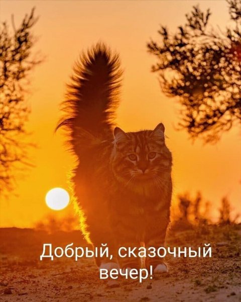file_90352541