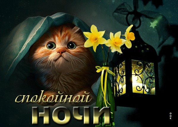 Анимированная открытка спокойной ночи (21)