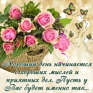 Horowij denb Nachinaetsya S Horowih Myslej