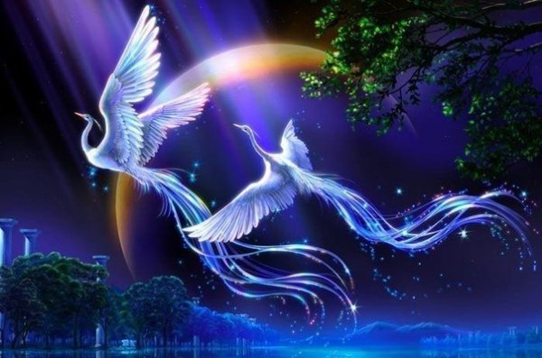 Волшебные птицы