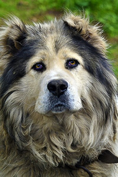 dee6358fad2956b168276d71aa22b93f original