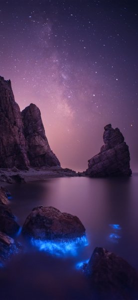 Xiaomi Mi 9