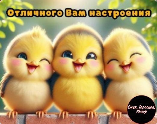 IMG-01b9c2bcf59fd23ef2850d62b530601c-V