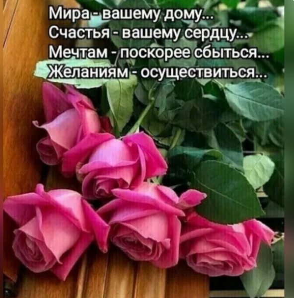 IMG 20250724 021435