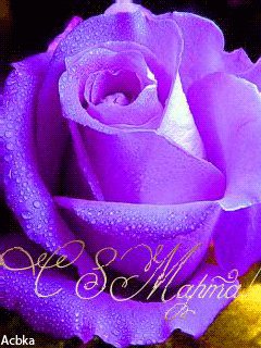 file_45997208