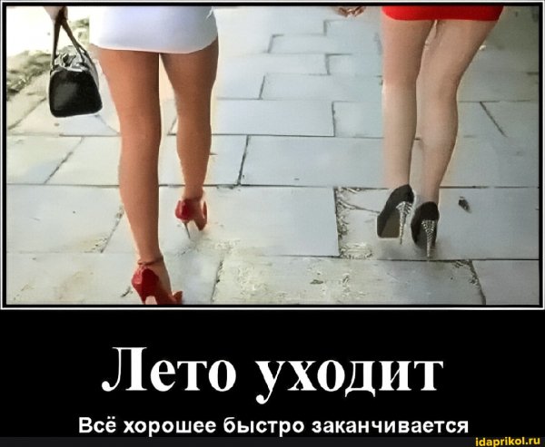 be2ccde024e66f6246bdc81bd921a936b4ef0cfd2e39 1