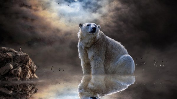 2з (1543) (Copy) (Copy)